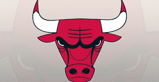 bulls_main