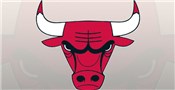 bulls_main