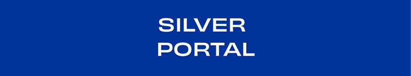 Silver_Portal_10.1