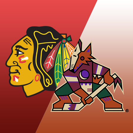 History of Chicago Blackhawks - Google Search  Blackhawks, Chicago  blackhawks, Chicago blackhawks art